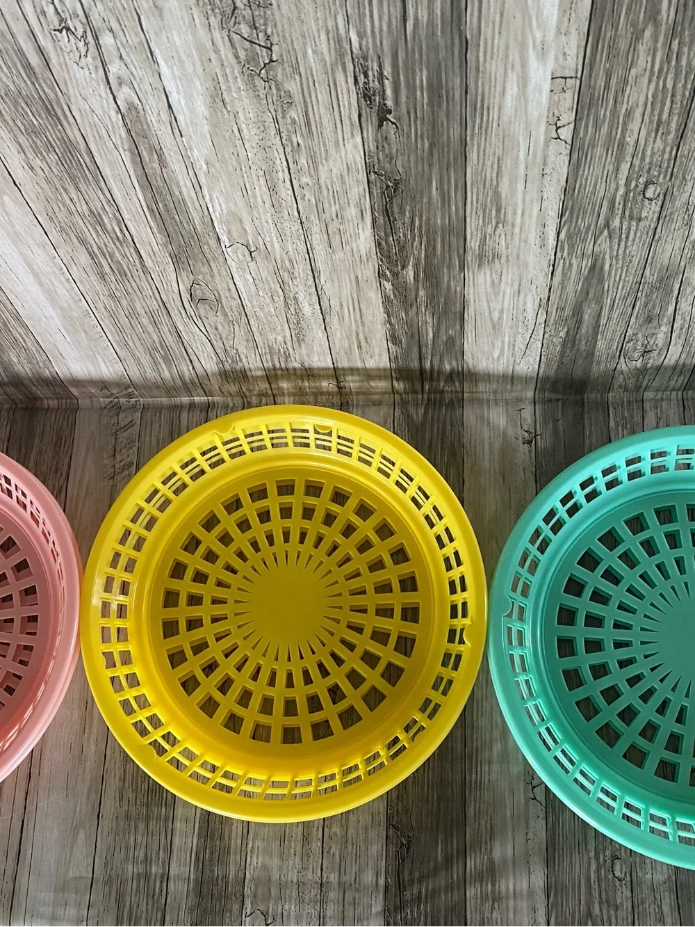 Pastel Picnic Plate Holders Set of 6